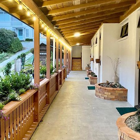 The Swiss Chalet Holiday Apartment 4, Bay Of Islands Paihia Buitenkant foto